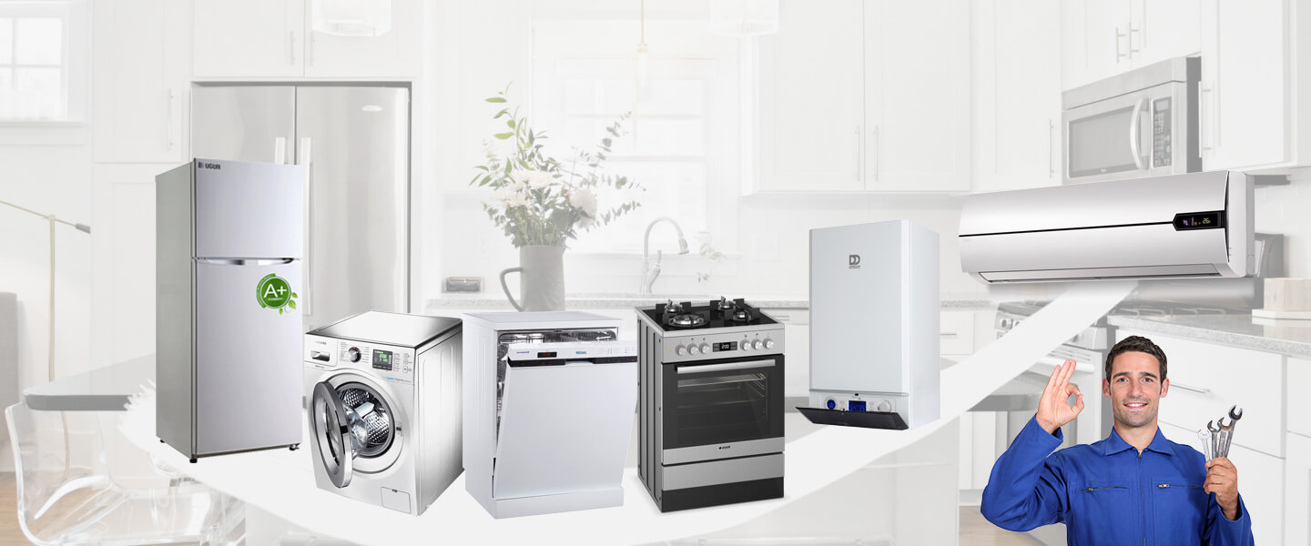 Alaplı Electrolux Servisi
